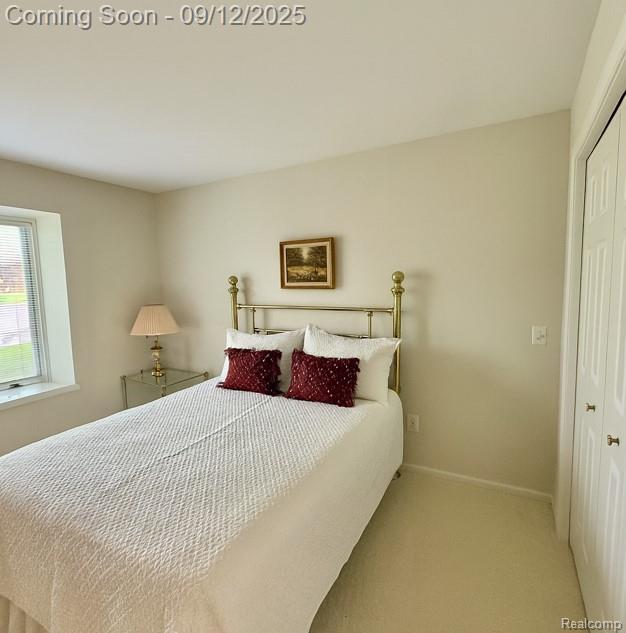 4229 Juniper Lane, Port Huron, MI 48060 — Photo 15