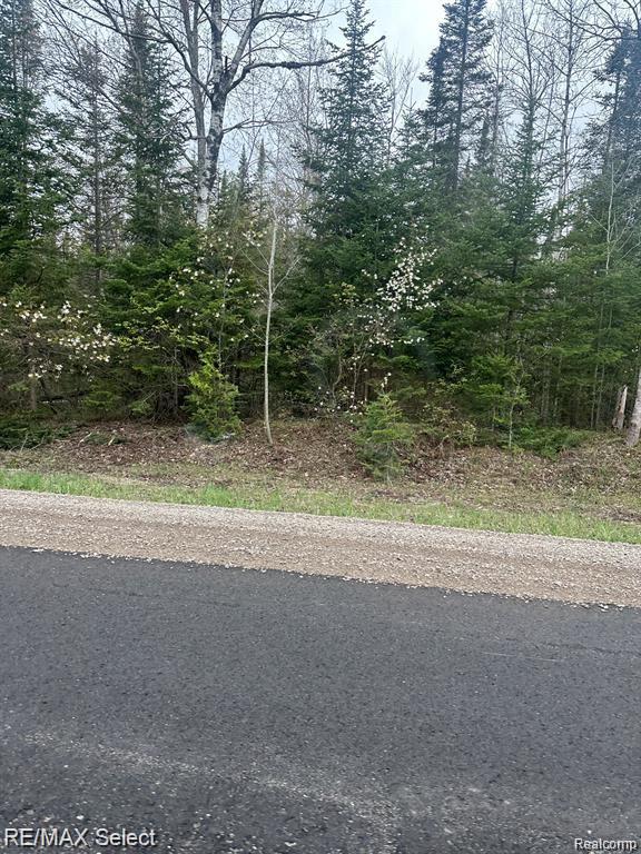 4610 SANMOTT Trail NE, Kalkaska, MI 49646 — Photo 4