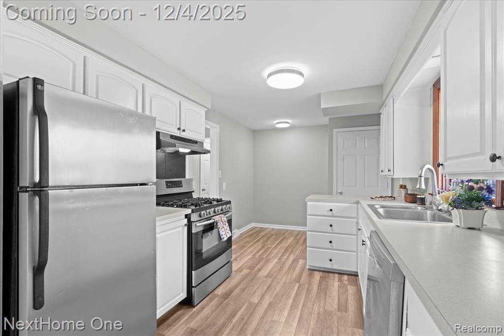 60658 Sue Street, Lyon, MI 48178 — Photo 7