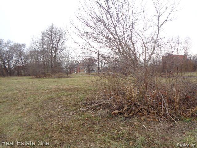 2706 HENDRICKS Street, Detroit, MI 48207 — Photo 6