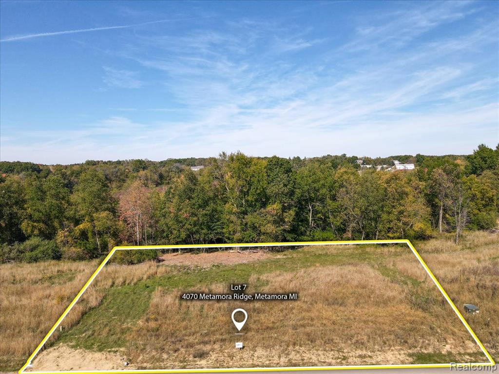 4070 Metamora Ridge, Metamora, MI 48455 — Photo 4
