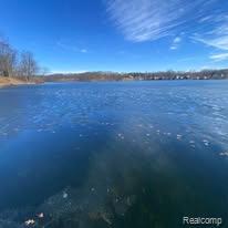 A Hemingway Lake, Otter Lake, MI 48464 — Photo 14