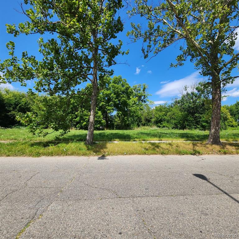 945 E EUCLID Street, Detroit, MI 48211 — Photo 4