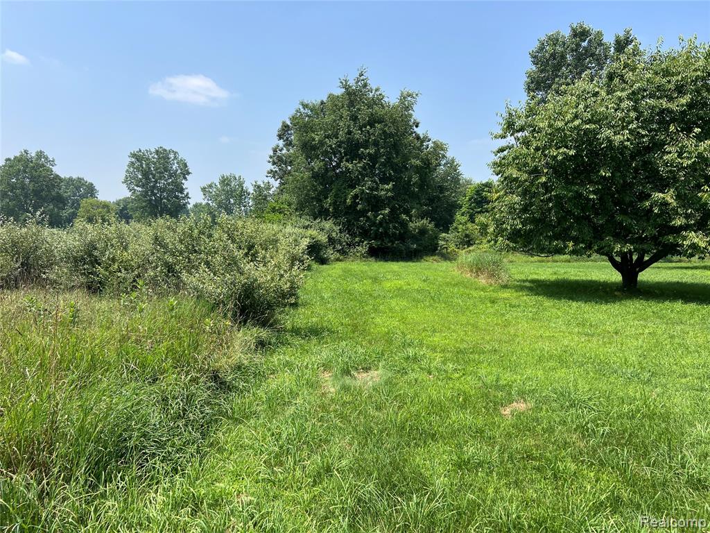 6197 Sober Road, Fowlerville, MI 48836 — Photo 15
