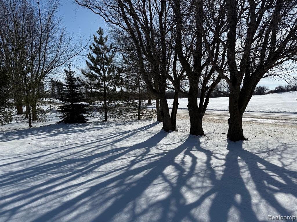 7595 BROOKS Road, Brown, MI 48416 — Photo 10