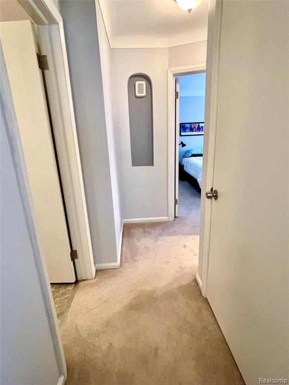 6401 Shenandoah Avenue, Allen Park, MI 48101 — Photo 39