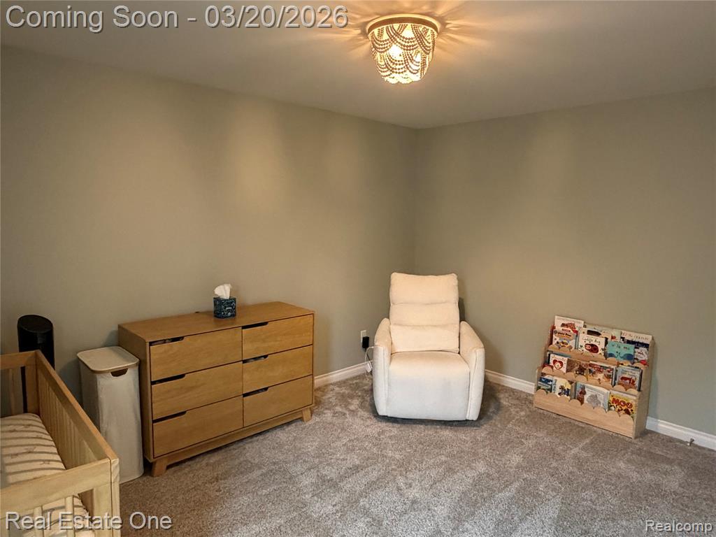 58206 Sunflower Circle N, New Hudson, MI 48165 — Photo 25