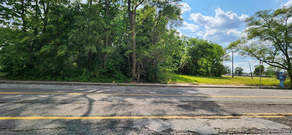 4257 MOUNT ELLIOTT Street, Detroit, MI 48207 — Photo 8