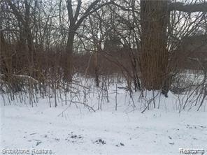 S Pemberton Lot 20, Bloomfield Hills, MI 48302 — Photo 2