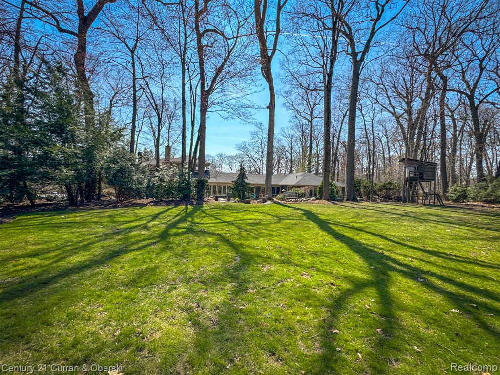 View of grassy yard with view of wooded area