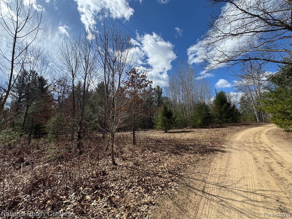 4233 Hardacre Trail, Houghton Lake, MI 48629 — Photo 36