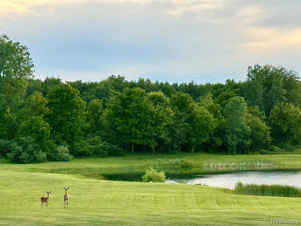 16118 Jeff Court, Grand Ledge, MI 48837 — Photo 13