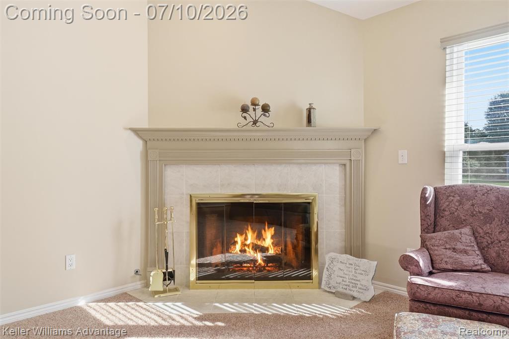 9722 Sunnywood Trail, South Lyon, MI 48178 — Photo 12