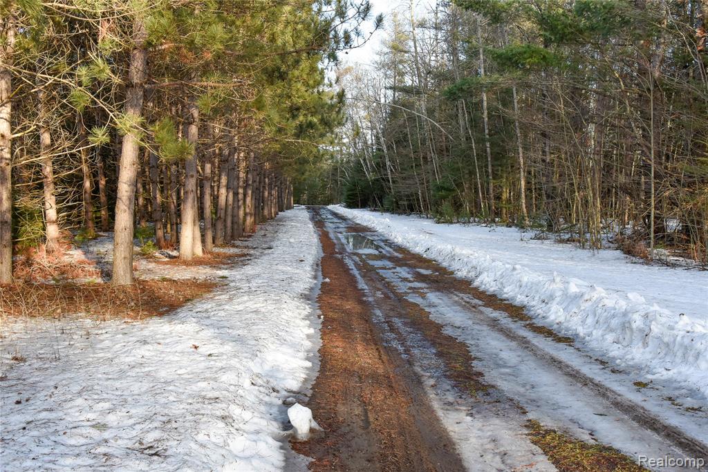 1094 Blamer Road, Fairview, MI 48621 — Photo 4