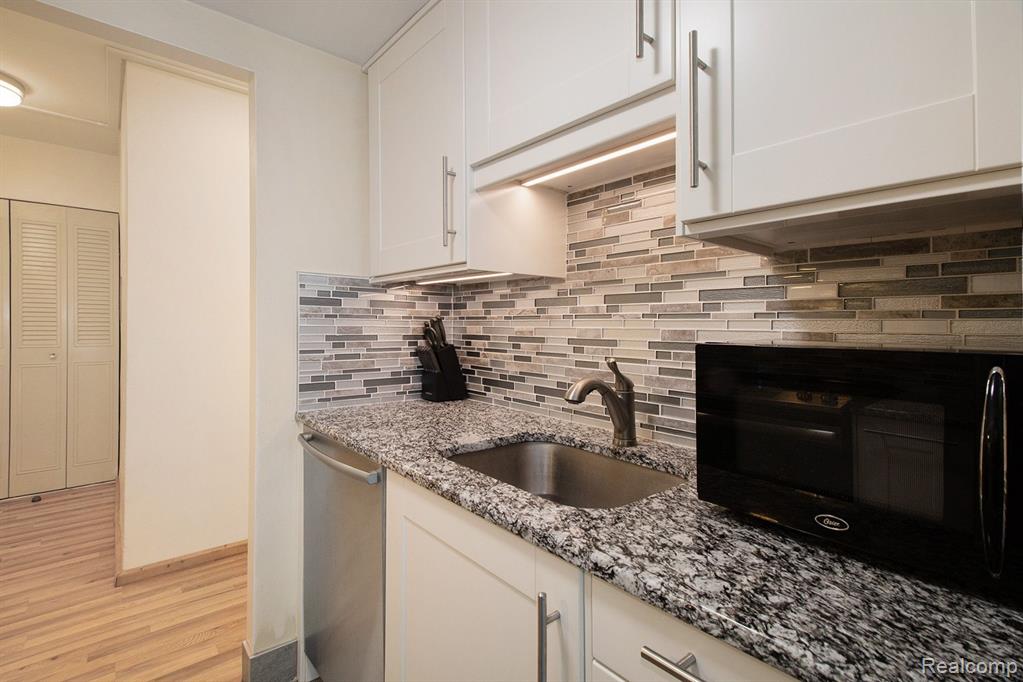 555 E William Street, 5J, Ann Arbor, MI 48104 — Photo 16