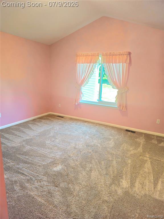 450 Lilly View Court Court, Howell, MI 48843 — Photo 9