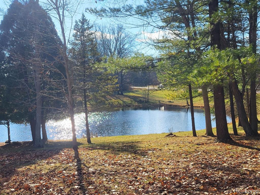 4662 N Lapeer Road, Columbiaville, MI 48421 — Photo 3