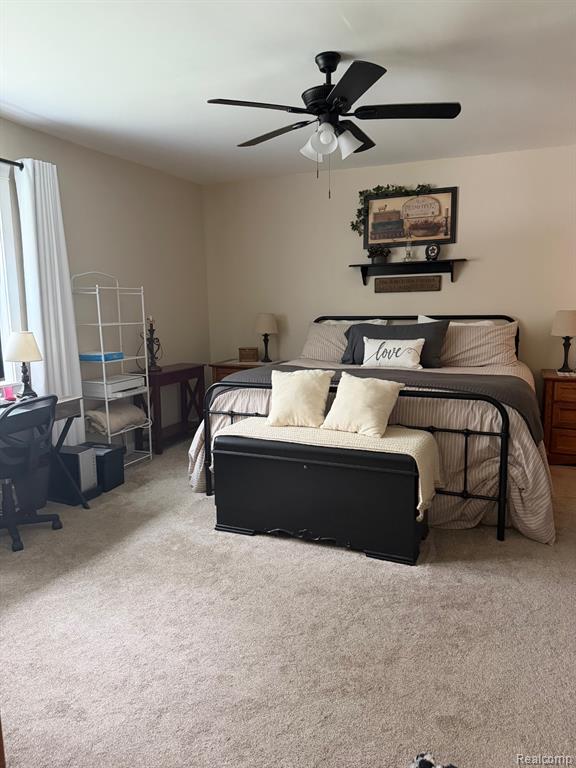 8128 Howard Road, Marlette, MI 48453 — Photo 8
