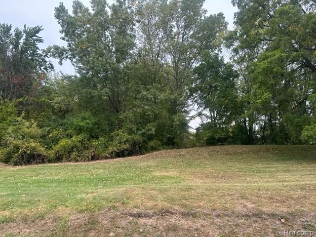 Lot B Chapin Street, Grand Blanc, MI 48507 — Photo 3