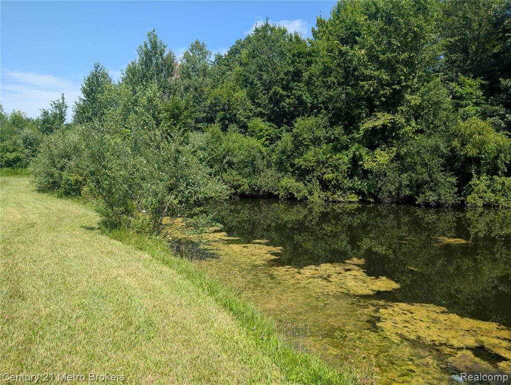 10190 Oak Road, Otisville, MI 48463 — Photo 29