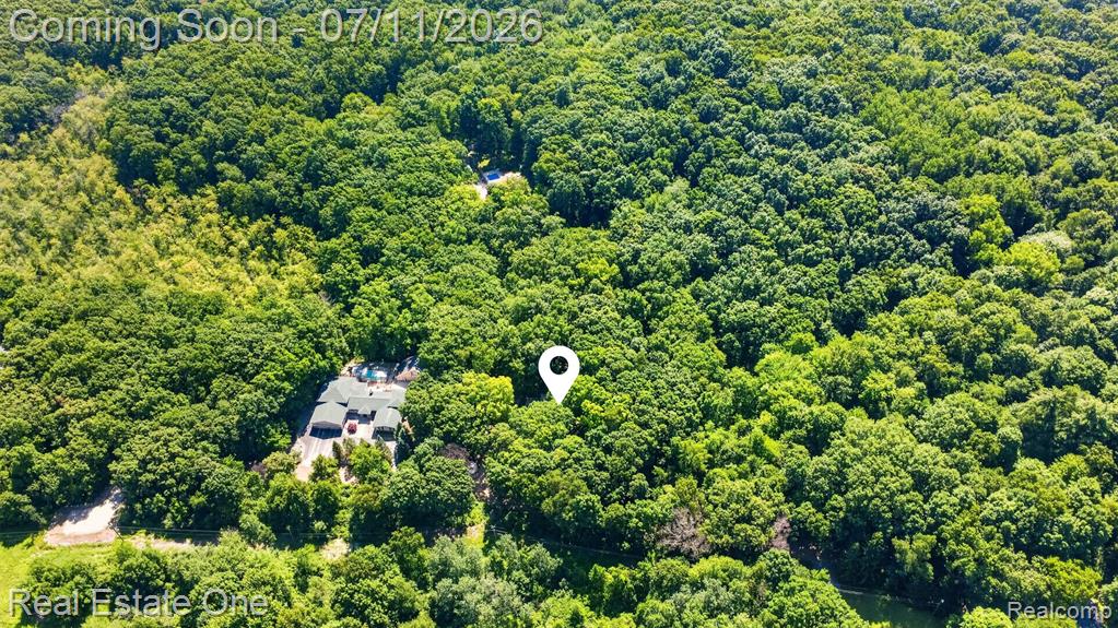 310 S Van Road, Holly, MI 48442 — Photo 45