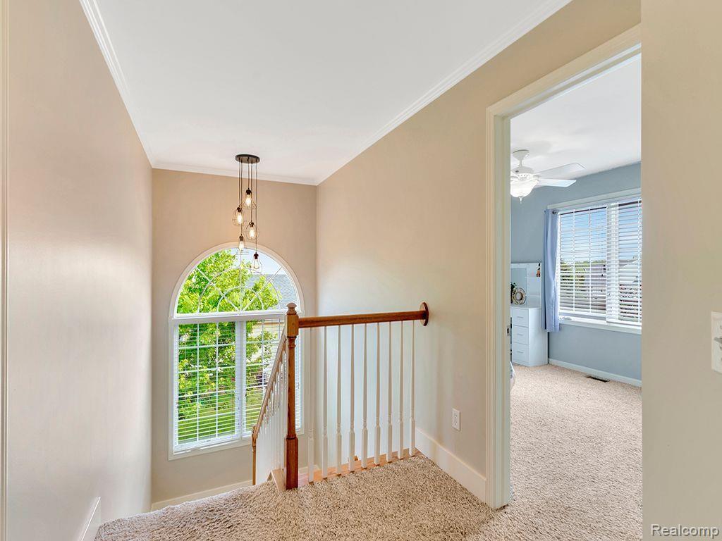 26317 SHUMANS Way, South Lyon, MI 48178 — Photo 48
