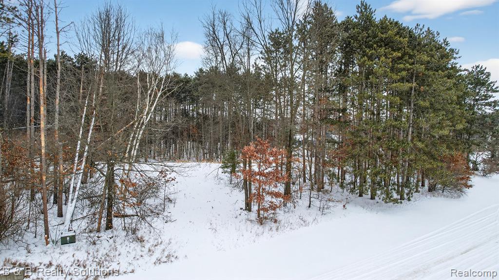 1441 Candace Drive, Lapeer, MI 48446 — Photo 9