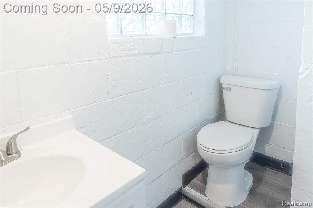 15417 Leona Drive, Redford, MI 48239 — Photo 19