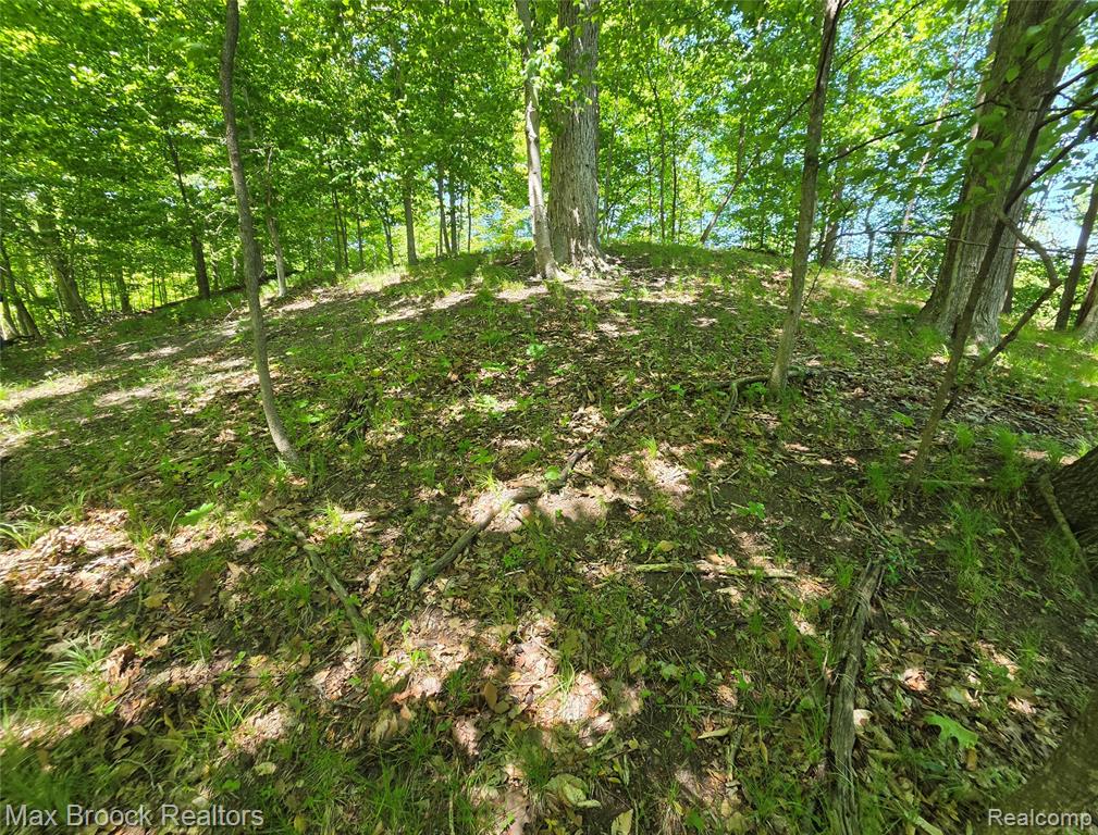 VAC Four Lakes Drive, South Lyon, MI 48178 — Photo 6