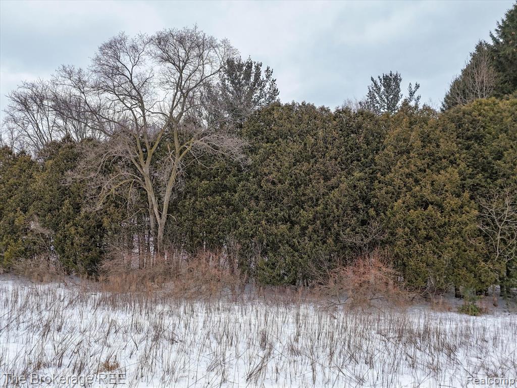 S Gera Rd, Birch Run, MI 48415 — Photo 10