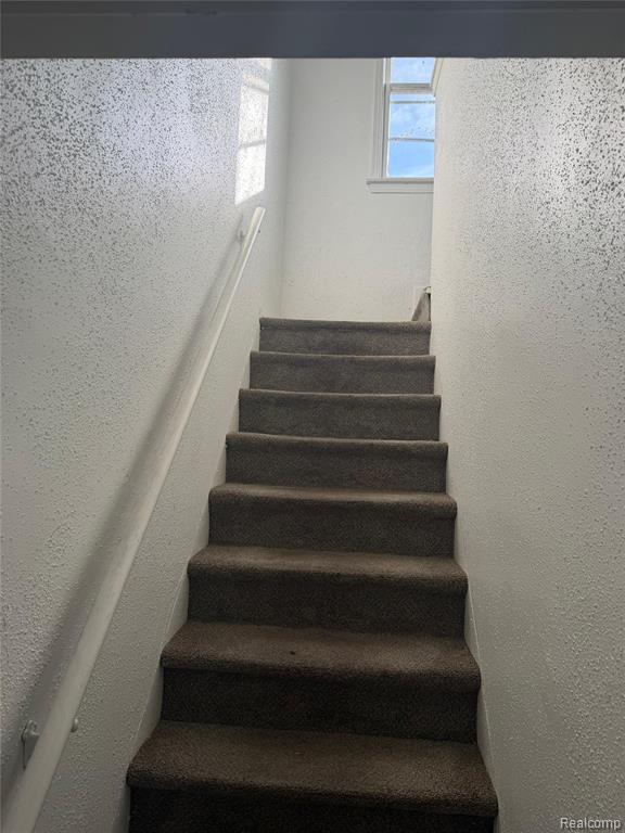 7825 Saint Marys Street, Detroit, MI 48228 — Photo 4