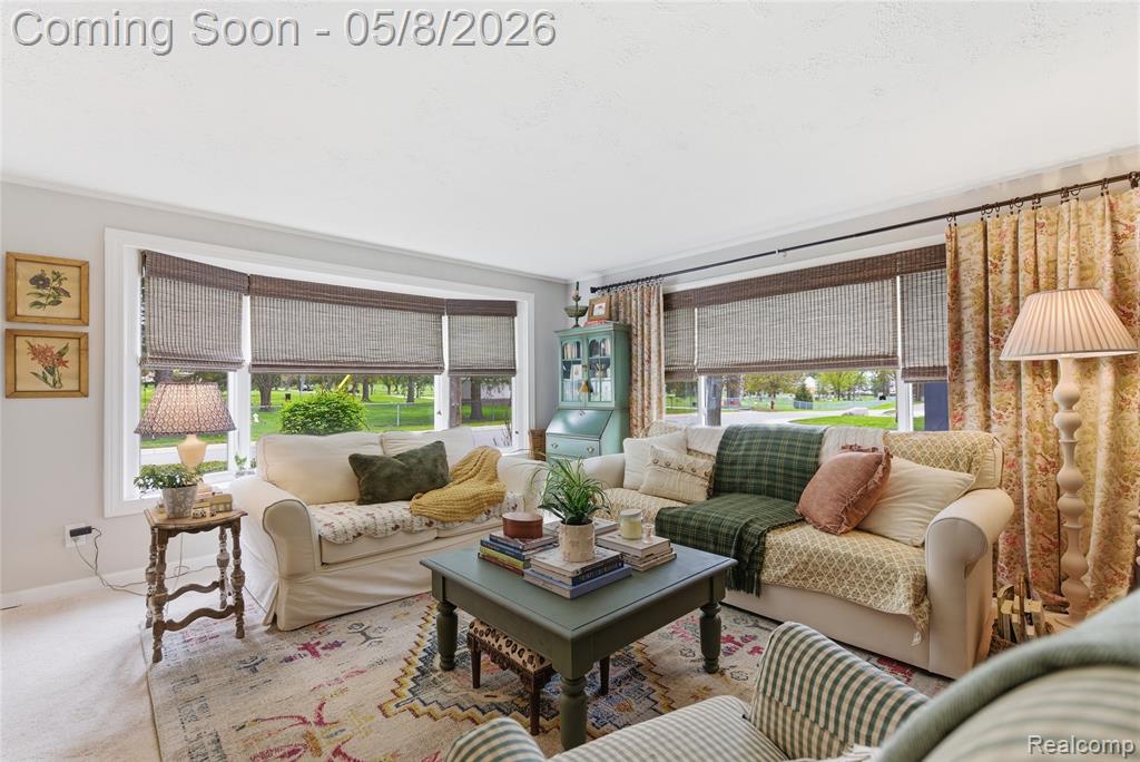 813 1st Street, Rochester, MI 48307 — Photo 15