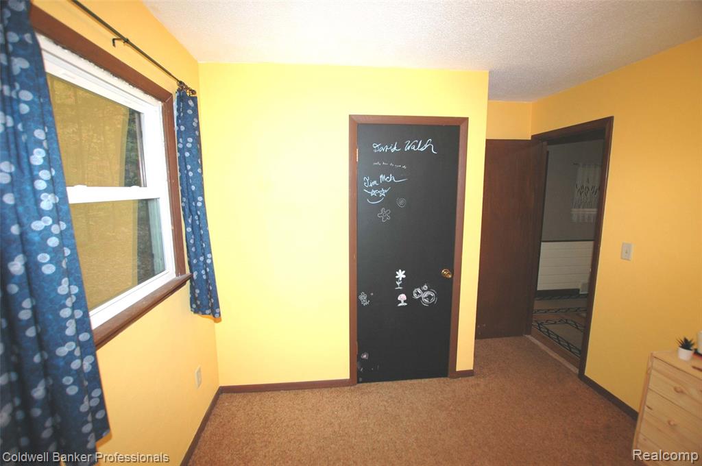 10120 Alpine Drive, Reed City, MI 49677 — Photo 11
