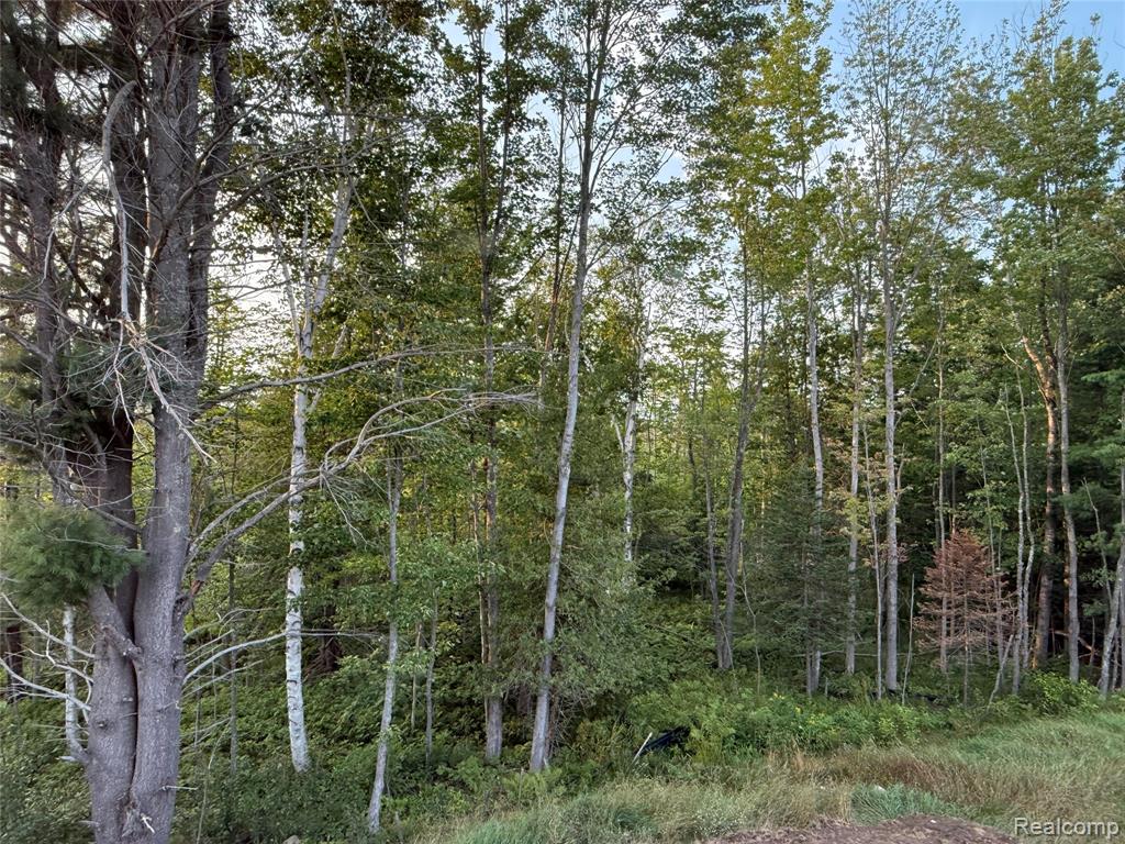 9220 S Flaska Drive, Cedar, MI 49621 — Photo 5