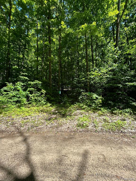 VL Smith Lake Road, Mancelona, MI 49659 — Photo 4