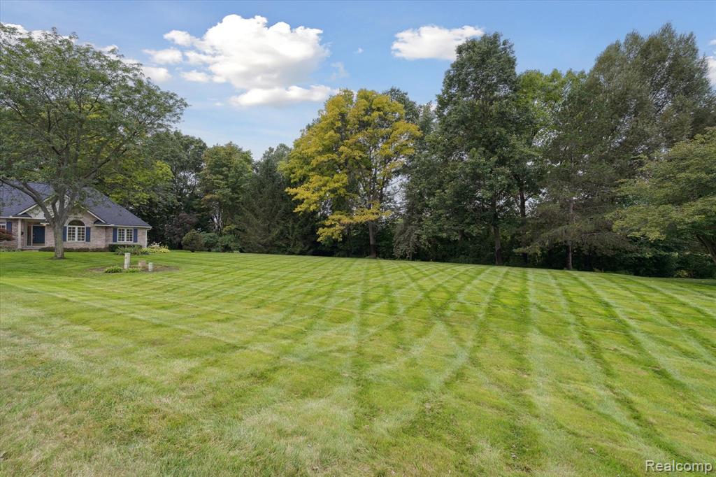 16534 W Horseshoe Trail, Linden, MI 48451 — Photo 2