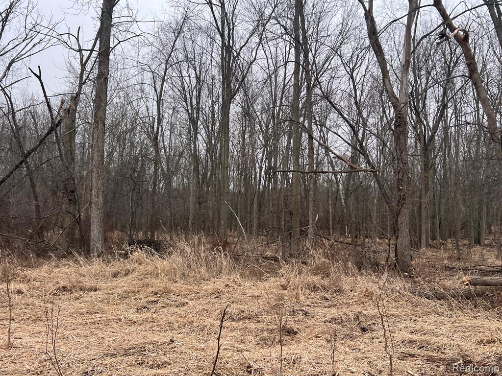 VL Washington Street, Perry, MI 48872 — Photo 16