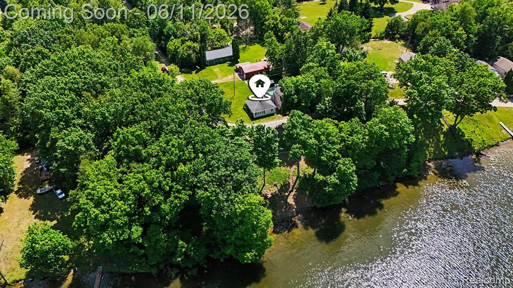3931 S Shore Drive, Lapeer, MI 48446 — Photo 39