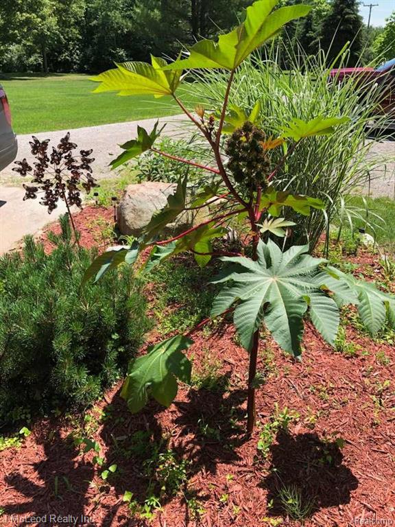 6939 TWIN CREEK Drive, Millington, MI 48746 — Photo 86