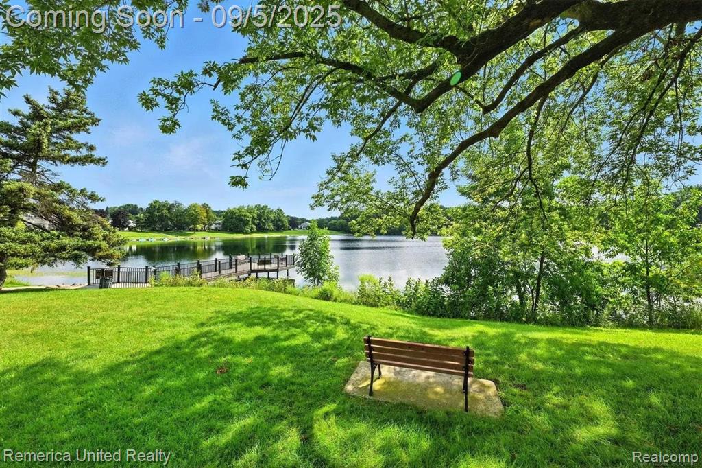 41377 Leidel Court, Northville, MI 48167 — Photo 49