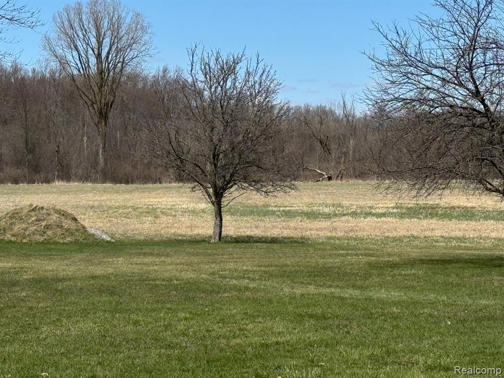 7188 Reid Road, Swartz Creek, MI 48473 — Photo 40