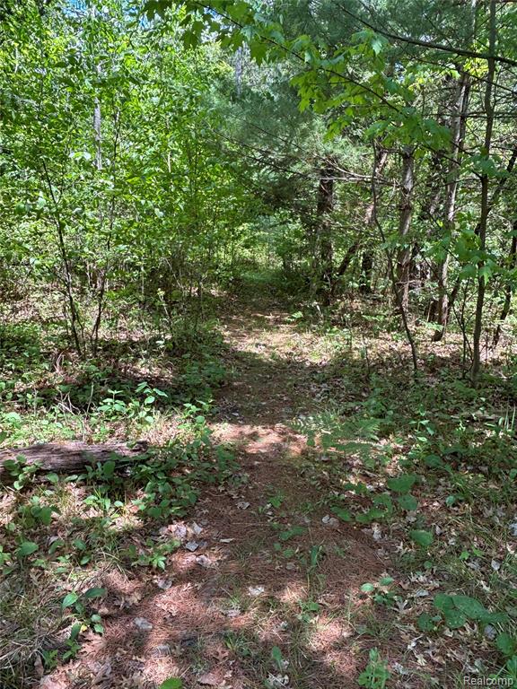 955 Aeronca Street, Luzerne, MI 48636 — Photo 17