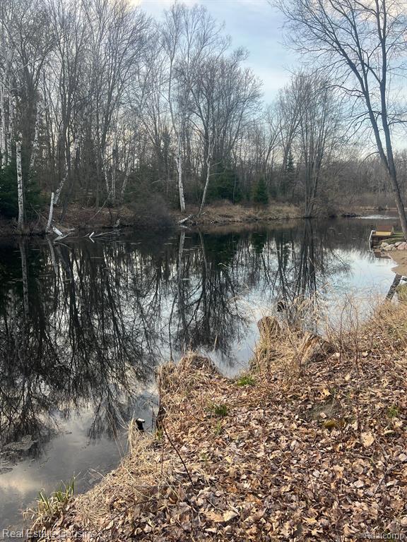 6214 Larch Trail, Lake, MI 48632 — Photo 7