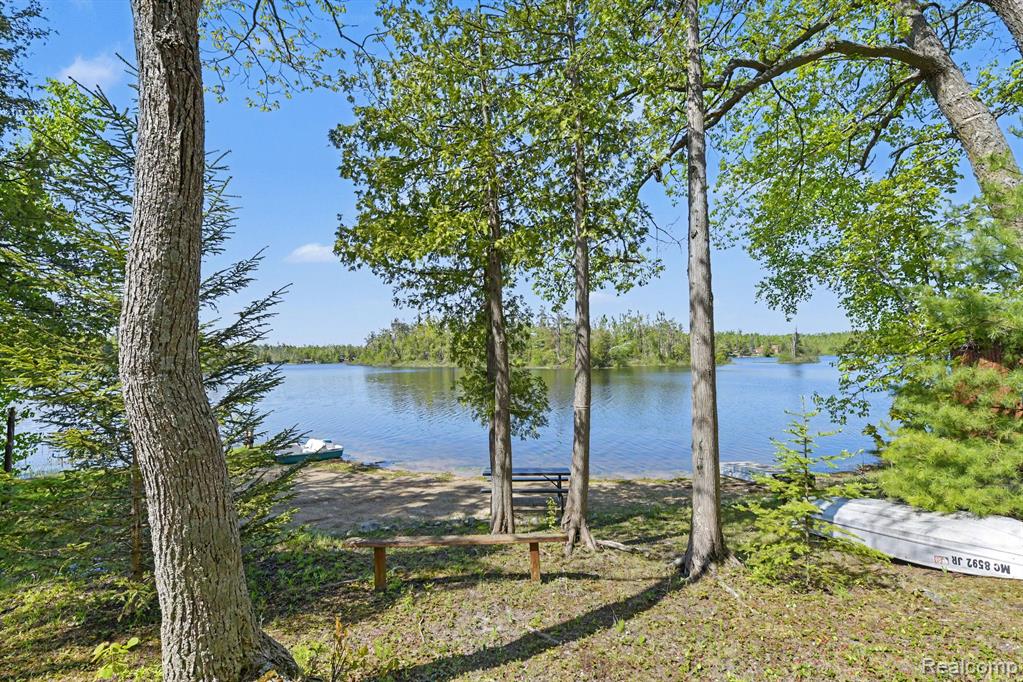 9516 E Gaylanta Drive, Atlanta, MI 49709 — Photo 36