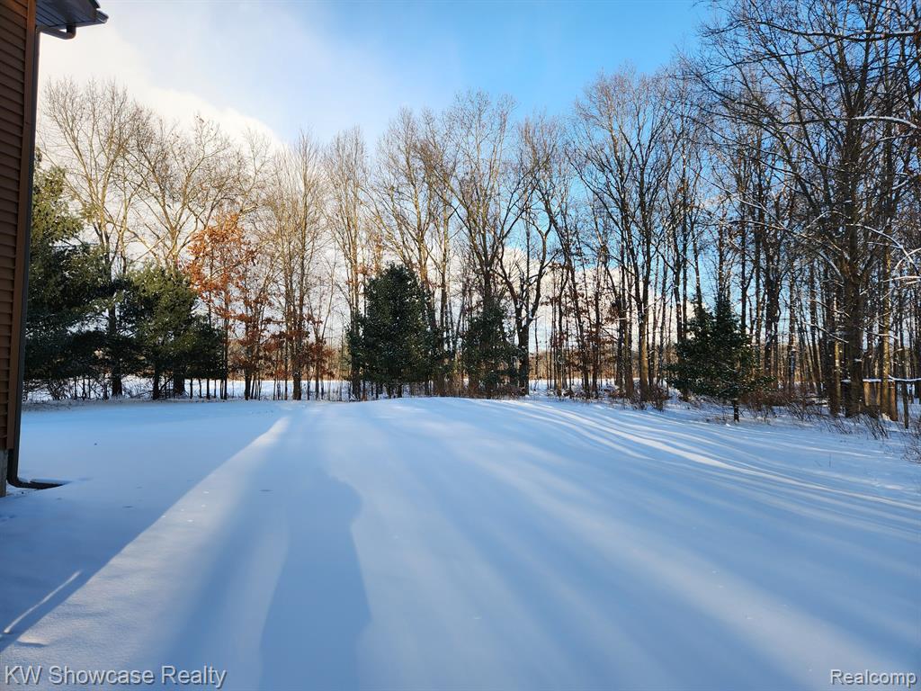 9246 WHITE Road, Linden, MI 48451 — Photo 86