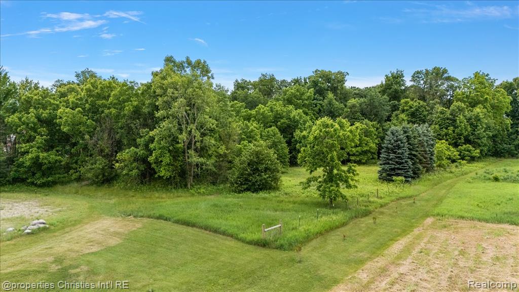 22150 Donnas Drive Street, South Lyon, MI 48178 — Photo 6