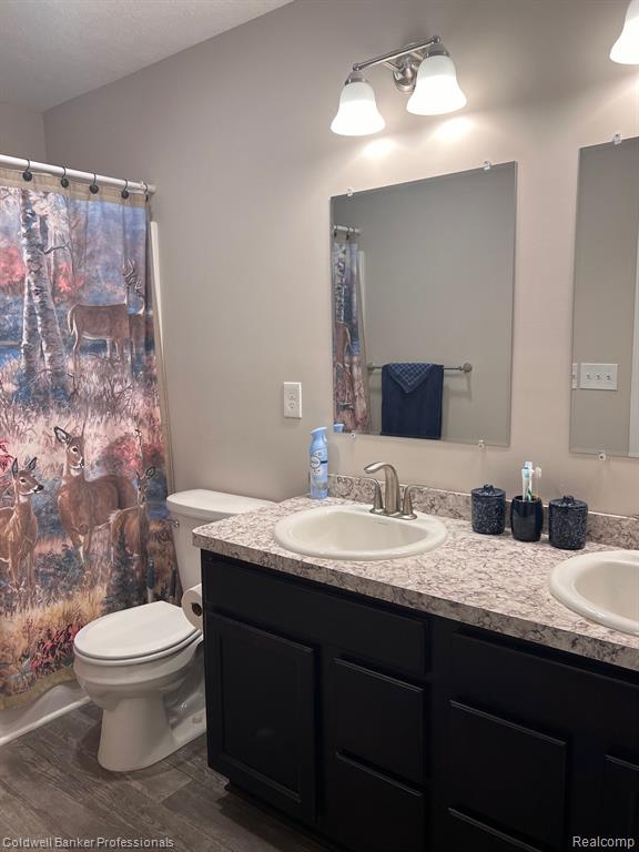 301 Saphire Street, Morrice, MI 48857 — Photo 8