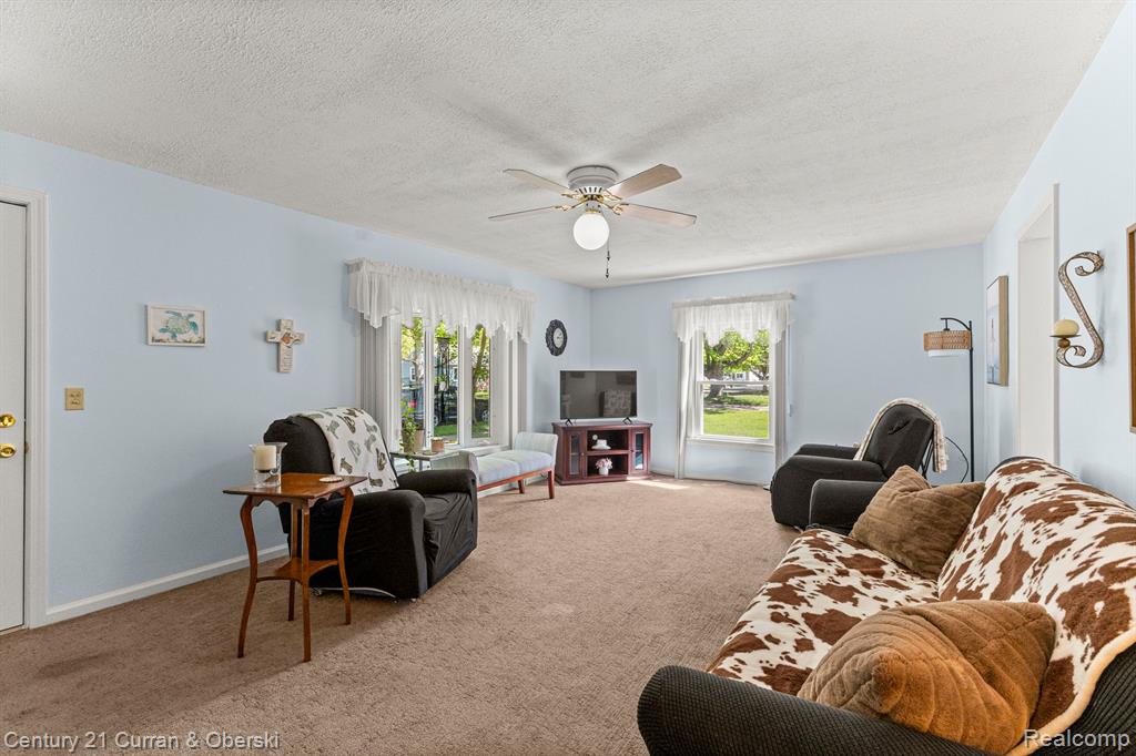 230 MECHANIC Street, Dundee, MI 48131 — Photo 5