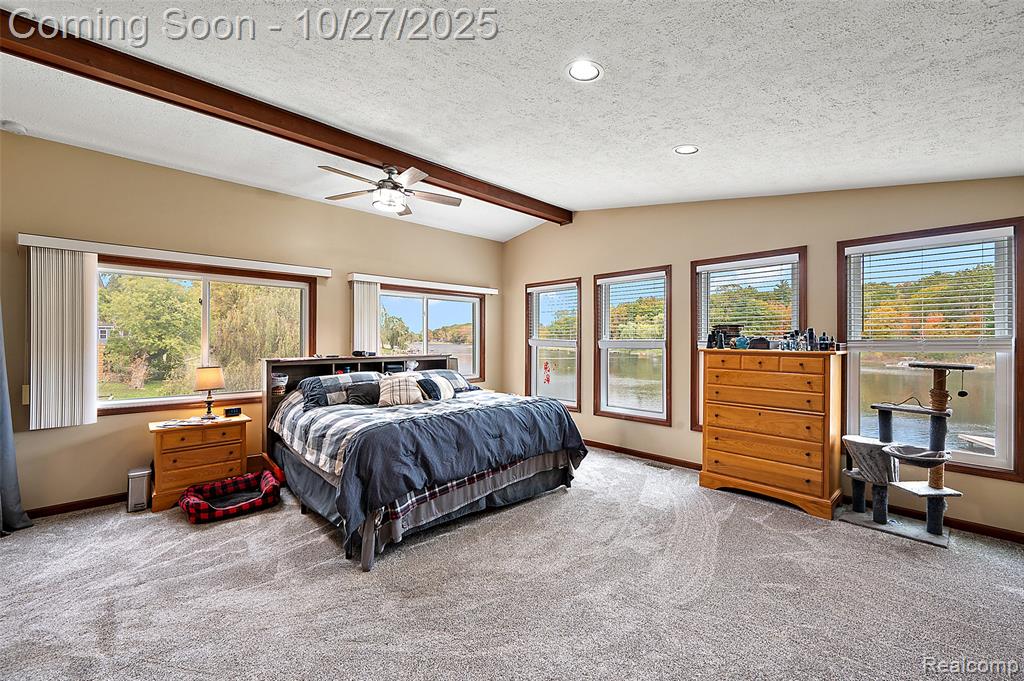 100 Curella Drive, Attica, MI 48412 — Photo 29