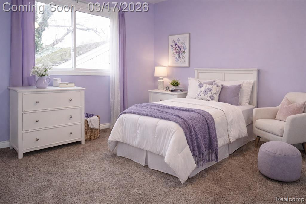 19552 Garfield, Redford, MI 48240 — Photo 12